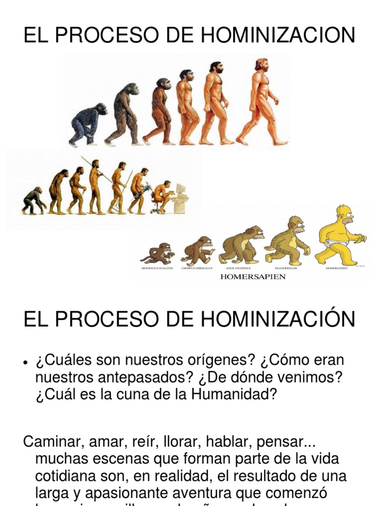 Proceso De Hominizacin Homo Evolucin Humana 600x450