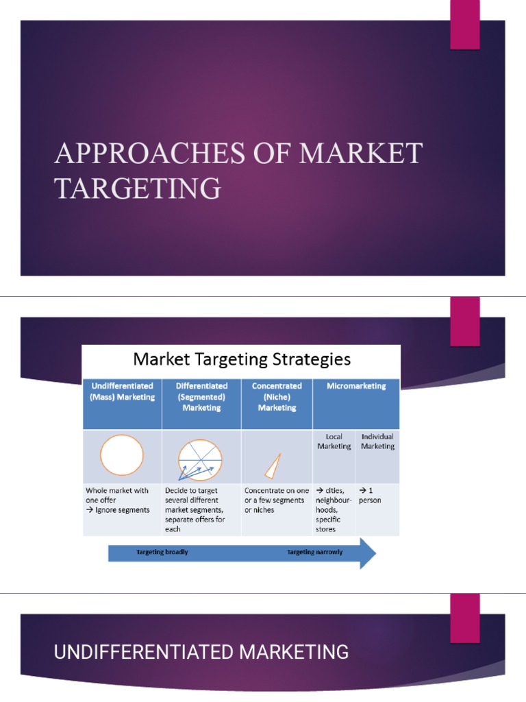 Market Targeting Approaches Explained | PDF