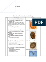 Tugas Parasit Lembar Kerja Untuk Indentifikasi Inveksi Cacing