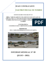 Informe Mensual 04 Ibañez