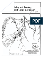 Training and Pruning Small Fruit Crops in Missouri: Revised 1989