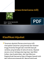 Alpukat (Persea Americana Mill)