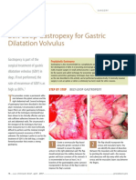 Belt Loop Gastropexy For Gastric 620 Article
