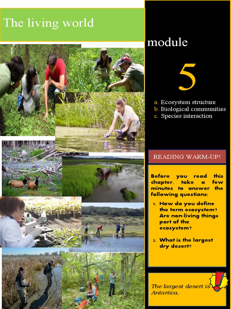 Ecosystem Components and Biomes Overview | PDF | Mitochondrion ...