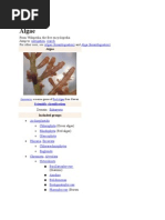 Download Algae by Anand Kumar SN51907244 doc pdf