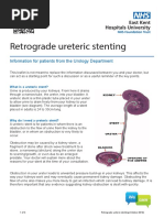 Step-by-Step Percutaneous Nephrostomy Guide | PDF | Medical Specialties ...