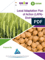 Final Version of LAPA Plan Layyah