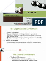 3307 Lecture 03 The Environment and Culture of Organizations