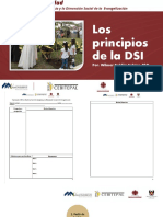 10 Principios DSI