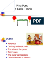 Ping Pong or Table Tennis