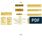 Neuroplasticidad: Resumen