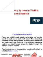 Circulatory System in Finfish and Shellfish