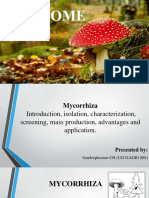 Mycorrhiza 180310082441