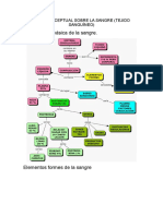 Mapa Conceptual Sobre La Sangre Composicion