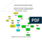 Mapas Conceptuales Anatomía Cadera