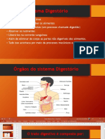 Sistema Digestório (3)