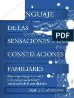 El Lenguaje de Las Sensaciones y Las Constelaciones Familiares- Zaquie Meredith