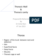 Thoracic Wall and Thoracic Cavity Anatomy
