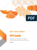 Um Novo Olhar Ppcaam 2017