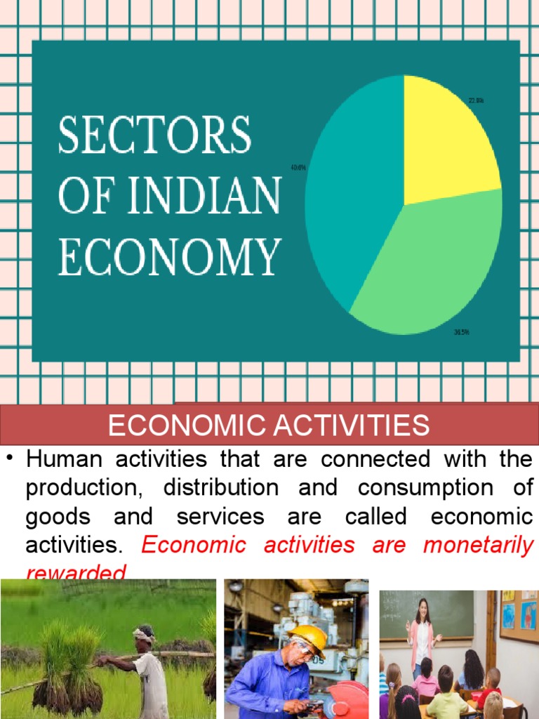 Sectors of the Indian Economy Explained | PDF | Employment | Economies
