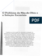 O problema da mão-de-obra e a adoção do escravismo na colonização brasileira