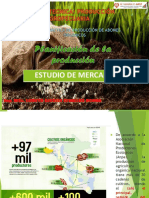 02.produccion de Abonos Organicos-Estudio de Mercado. A1