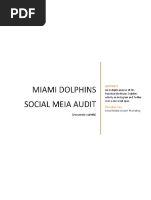 social media audit