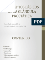 Generalidades de La Prostata