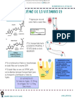 Metabolismo Del Hierro Vit b12 y Vit b9 1 Downloable