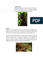 Especies de Animales en Peligro