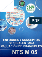 NTS M 05 Valuación de Intangibles