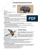 Extinction Summary Handout PDF