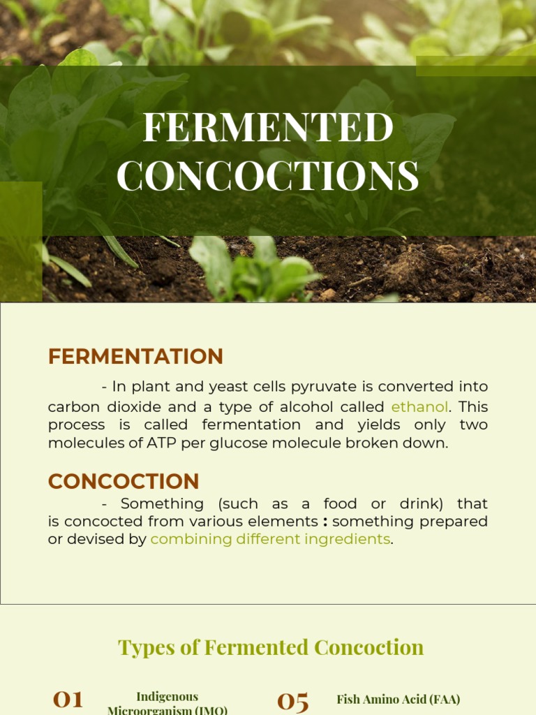Fermented Concoctions for Plant Health | PDF | Compost | Fermentation