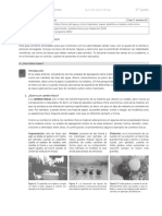 Guia Aprendizaje Estudiante 3er Grado Ciencia f3 s10 Impreso