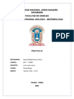 Practica 4 Parasitologia