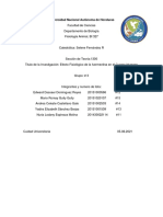 Informe Grupo 3, Seccion 1300