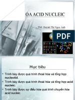 CHUYỂN HÓA ACID NUCLEIC