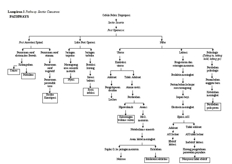 Pathway Pasca Sectio Caesarea | PDF