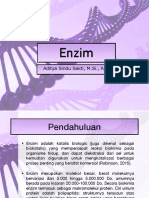 Kuliah Biokimia Enzim