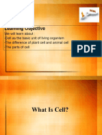 Cell Biology Basics