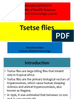 Tsetse Flies: Faculty of Health Sciences