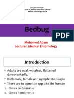 12.bedbug and Kissing Bug