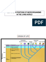 Lecture 9 POSITION OF MICROORGANISMS