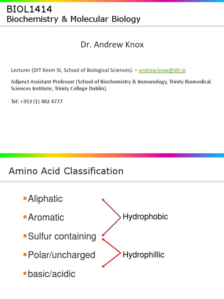 Lecture3-Classification of Amino Acids | PDF | Amino Acid | Chemistry
