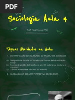 Sociologia Aula 4