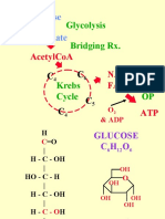 Glucose Pyruvate: Glycolysis Bridging RX