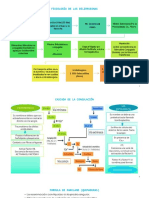 Fisiología de Las Bilirrubinas