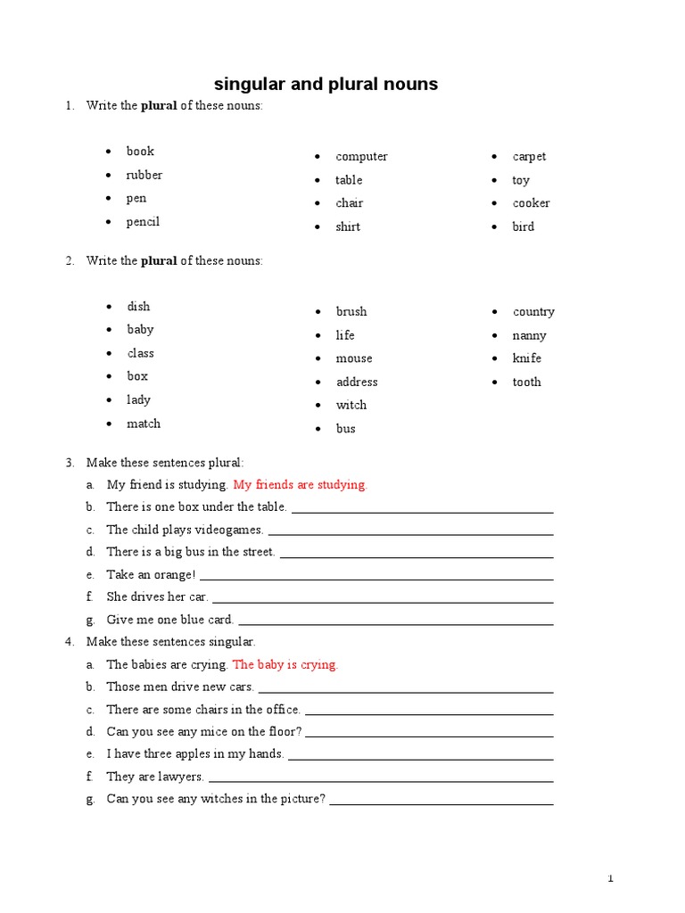 Singular and Plural Nouns Worksheet | PDF | Language Arts & Discipline