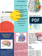 Actividad 5 Qué Tengo Dentro de Mi Cabeza