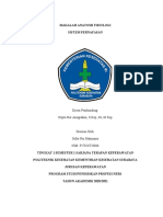 Makalah Anatomi Fisiologi Sistem Pernafasan - Sofia Nur Rahmania - Reg B - 086